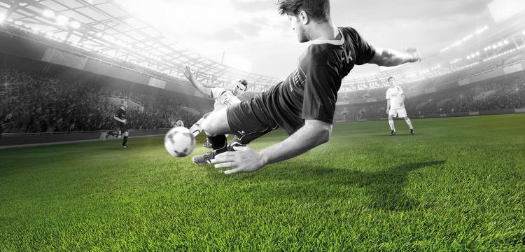 Football turf - Domo® Sports Grass