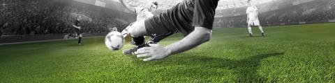Football turf - Domo® Sports Grass